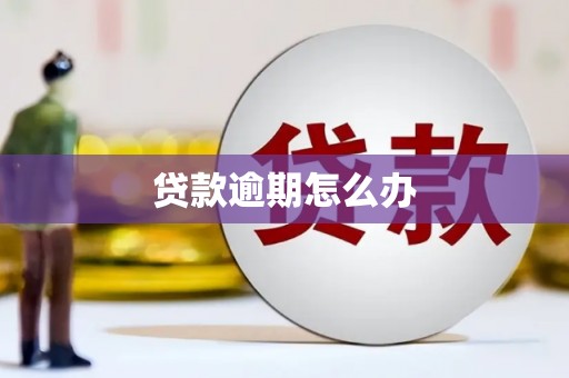 扎赉诺尔贷款逾期怎么办