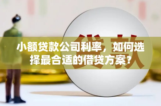 扎赉诺尔小额贷款公司利率，如何选择最合适的借贷方案？