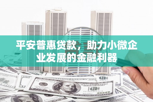 扎赉诺尔平安普惠贷款，助力小微企业发展的金融利器