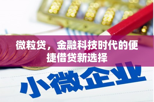 扎赉诺尔微粒贷，金融科技时代的便捷借贷新选择