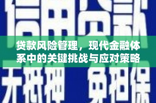 扎赉诺尔贷款风险管理，现代金融体系中的关键挑战与应对策略