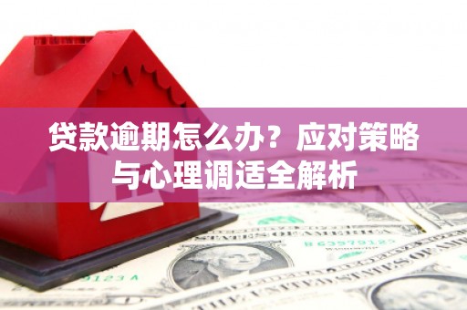 扎赉诺尔贷款逾期怎么办？应对策略与心理调适全解析