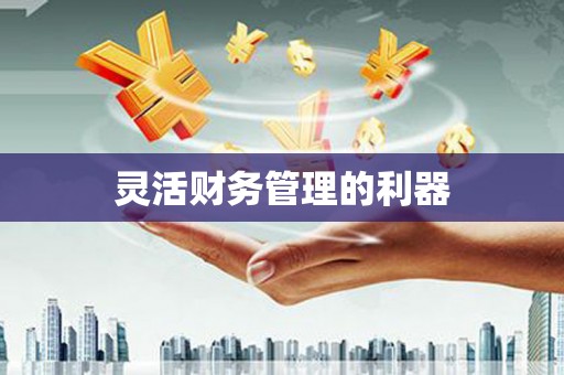 扎赉诺尔灵活财务管理的利器