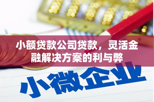 扎赉诺尔小额贷款公司贷款，灵活金融解决方案的利与弊