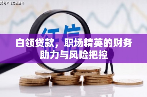扎赉诺尔白领贷款，职场精英的财务助力与风险把控